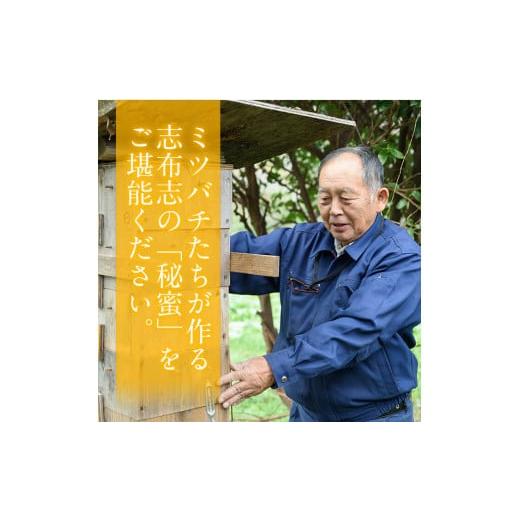 ふるさと納税 加工品等 はちみつ 鹿児島県 志布志市 b2-003 日本みつばちの純粋蜂蜜 志布志の秘蜜 計560g(280g×2本)の画像