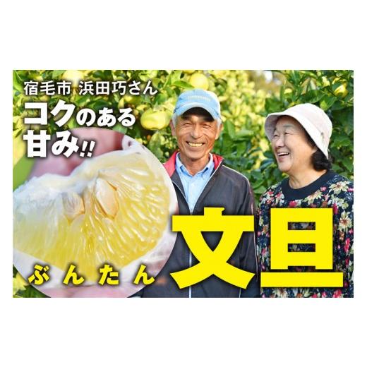 ふるさと納税 みかん・柑橘類 高知県 宿毛市 文旦 5kg 贈答用 浜田 巧 贈答用約5kg(14,000円)
