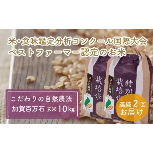 ふるさと納税 石川県 能美市 加賀百万石特別栽培米コシヒカリ「玄米」10kg2ヶ月連続お届け
