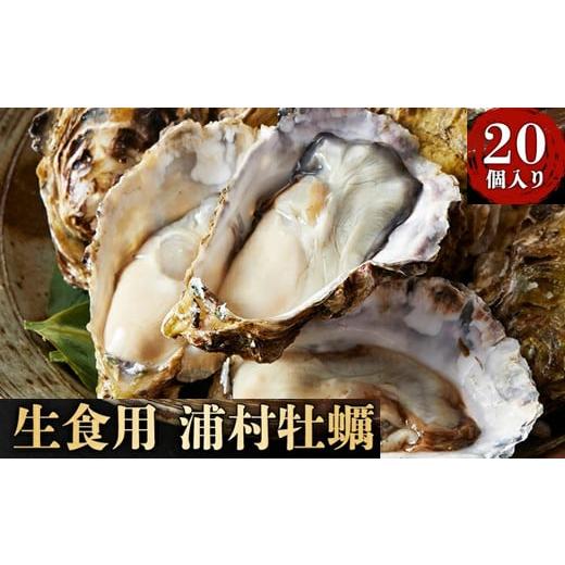 ふるさと納税 牡蠣 生牡蠣 三重県 鳥羽市 I-55生食用浦村牡蠣20個入りセット(冷凍)