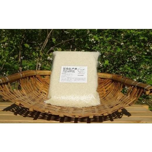 ふるさと納税 米 宮崎県 綾町 完全自然米 2.7kg 白米 白米