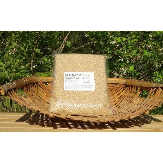 ふるさと納税 米 宮崎県 綾町 完全自然米 2.7kg 玄米 玄米