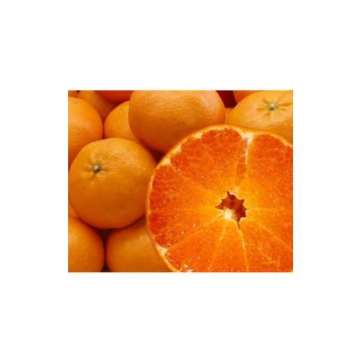 ふるさと納税 みかん・柑橘類 愛媛県 八幡浜市 はちきれんばかりの果肉がぎっしり 愛媛県八幡浜産・甘平5kg 贈答用 G35-18 1492231