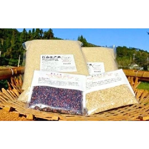 ふるさと納税 米 宮崎県 綾町 完全自然米 5kg 分搗き +古代米セット 分搗き