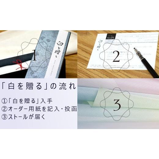 ふるさと納税 小物 ストール・マフラー 新潟県 五泉市 ストール 絽紗 白を贈る−This is JAPAN ジオメトリック市松模様のグラデーションストール レディース |…の画像