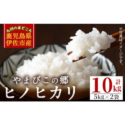 ふるさと納税 鹿児島県 伊佐市 A7-02 特別栽培ヒノヒカリ(計10kg・5kg×2袋) ふるさと納税 伊佐市 特産品 白米 精米 ひのひかり 鹿児島 お米 米 伊佐米 [や…