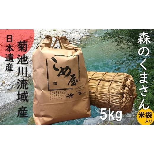 ふるさと納税 熊本県 玉名市 熊本県産 「 森のくまさん 」 5kg | 米 こめ お米 おこめ 白米 精米 熊本県 玉名市