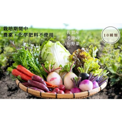 ふるさと納税 セット・詰合せ 佐賀県 佐賀市 佐賀産季節の旬野菜10種類(栽培期間中農薬・化学肥料不使用):B120-036 10種類