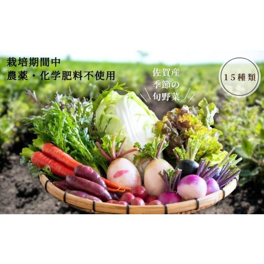 ふるさと納税 セット・詰合せ 佐賀県 佐賀市 佐賀産季節の旬野菜15種類(栽培期間中農薬・化学肥料不使用):B150-008 15種類