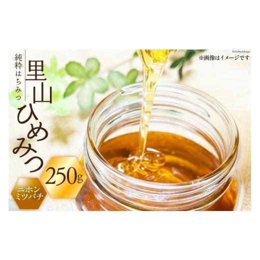 ふるさと納税 加工品等 はちみつ 石川県 津幡町 はちみつ 国産 純粋はちみつ 里山ひめみつ 250g×1 里山養蜂 坂本稔 石川県 津幡町 tb17nir80002 蜂蜜 ハチミ…
