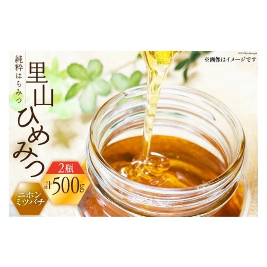 ふるさと納税 加工品等 はちみつ 石川県 津幡町 はちみつ 国産 純粋はちみつ 里山ひめみつ 250g×2 里山養蜂 坂本稔 石川県 津幡町 tb17nir80003 蜂蜜 ハチミ…