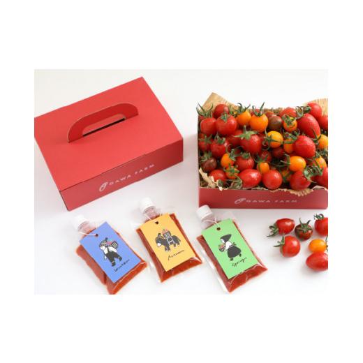 ふるさと納税 トマト ミニトマト 宮崎県 小林市 香TOMATOスペシャリテBOX<OGAWA FARM>