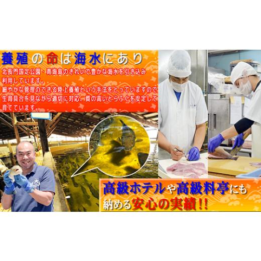ふるさと納税 フグ 山口県 長門市 とらふぐフルコース 4〜5人前（冷蔵） ふぐ 刺身 ふぐちり ふぐ刺身 ふぐ鍋 セット ふぐ刺し フグ 河豚 養殖 てっさ とらふ…_6