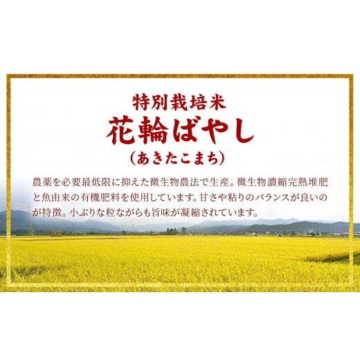 ふるさと納税 米 あきたこまち 秋田県 鹿角市 令和7年産 特別栽培米「花輪ばやし（あきたこまち）」乾式無洗米 10kg（5kg×2袋） 安保金太郎商店 無洗米 米 精…_2