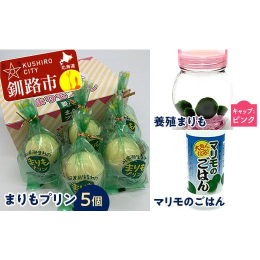 ふるさと納税 菓子 プリン 北海道 釧路市 阿寒湖銘菓まりもプリン5個入と養殖まりもセット(ピンク) 北海道 釧路 ふるさと納税 養殖まりも 飼育 プリン カス…