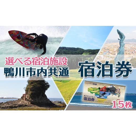 ふるさと納税 千葉県 鴨川市 [千葉県鴨川市]市内宿泊施設『共通宿泊券』15枚(15万円相当) [0500-0007]