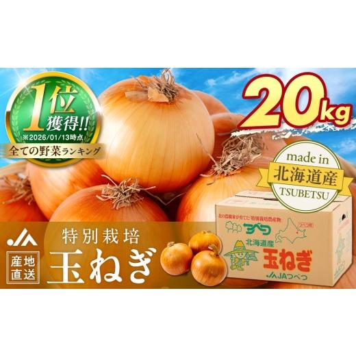 ふるさと納税 野菜類 玉ねぎ 北海道 津別町 先行受付 R8年産 特別栽培