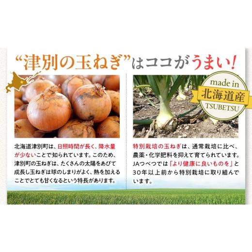 ふるさと納税 野菜類 玉ねぎ 北海道 津別町 先行受付 R8年産 特別栽培