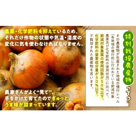 ふるさと納税 野菜類 玉ねぎ 北海道 津別町 先行受付 R8年産 特別栽培