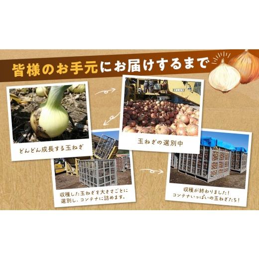 ふるさと納税 野菜類 玉ねぎ 北海道 津別町 先行受付 R8年産 特別栽培