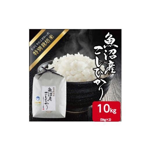 ふるさと納税 米 コシヒカリ 新潟県 十日町市 令和7年産 魚沼産 コシヒカリ 特別栽培米 10kg(5kg×2) 米 こしひかり お米 コメ 新潟 魚沼 魚沼産 白米 送料…