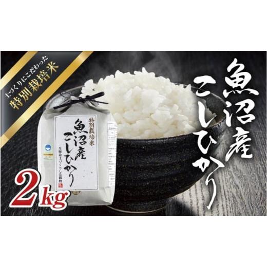 ふるさと納税 米 コシヒカリ 新潟県 十日町市 令和7年産 魚沼産 コシヒカリ 特別栽培米 2kg 米 こしひかり お米 コメ 新潟 魚沼 魚沼産 白米 送料無料 新潟県…