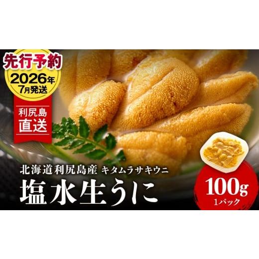 ふるさと納税 ウニ 北海道 利尻富士町 2026年7月発送 キタムラサキウニ 100g (100g×1パック) 利尻漁業協同組合 うに 雲丹 ミョウバン不使用 ウニ