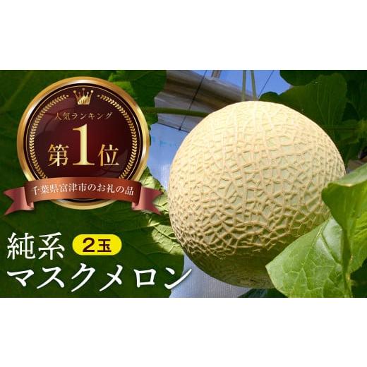 ふるさと納税 メロン メロン青肉 千葉県 富津市 通年栽培 純系マスクメロン2玉(化粧箱入) 11〜12月発送分 11〜12月発送分