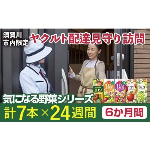 ふるさと納税 領域の畏まりの品 福島県 須賀川市  須賀川市内押さえる ヤクルト送りとどける見守り短い訪問 気になる蔬菜続きもの (6か月間) F7X-0254