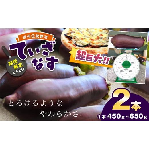 ふるさと納税 野菜類 茄子 長野県 天龍村 期間限定 レシピ付 先行予約 令和8年8月上旬順次発送 信州伝統野菜 天龍村産ていざなす2本セット(1本450g〜650…