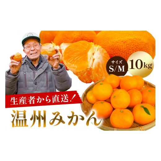 ふるさと納税 果物類 みかん 千葉県 南房総市 先行受付 2025年11月20日頃から順次発送 温州みかん 10kg サイズS又はM mi0032-0003-1 果物 フルーツ 果実 みか…