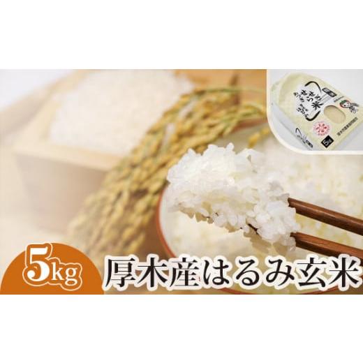 ふるさと納税 神奈川県 厚木市 No.302 厚木産はるみ玄米　5kg ／ お米 ブランド米 特A 健康 神奈川県｜furusatochoice｜02