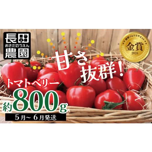 ふるさと納税 愛知県 碧南市 [お試し]幻のミニトマト?トマトベリー約800g