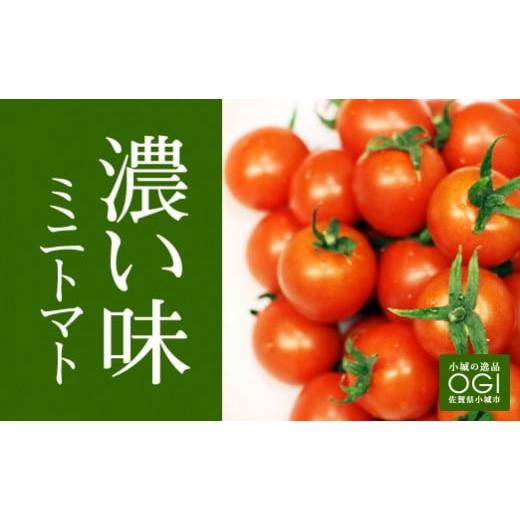 ふるさと納税 トマト ミニトマト 佐賀県 小城市 真子のミニトマト(1,3kg) 新鮮 コメント高評価 農家直送便