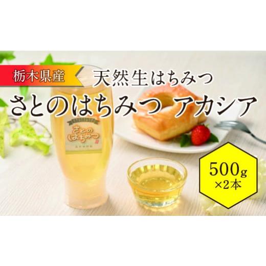 ふるさと納税 加工品等 はちみつ 栃木県 壬生町 さとのはちみつ（地元産天然生はちみつ）アカシア 500g 2本セットの画像