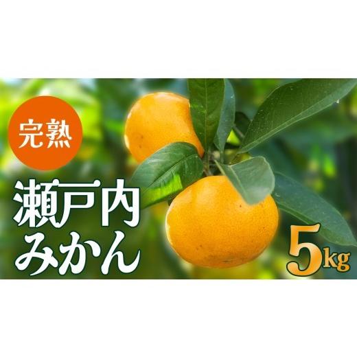 ふるさと納税 果物類 みかん 広島県 大崎上島町 先行予約 瀬戸内産 島の 完熟 みかん 詰め合わせ 5kg ( 45〜55個程度 ) 12月中旬〜1月発送 広島県 大崎上島町…