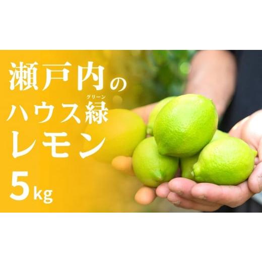 ふるさと納税 みかん・柑橘類 レモン 広島県 大崎上島町 瀬戸内の ハウスグリーン レモン 約5kg 2026年8月以降発送 皮まで丸ごと食べられる ワックス不使用 防…