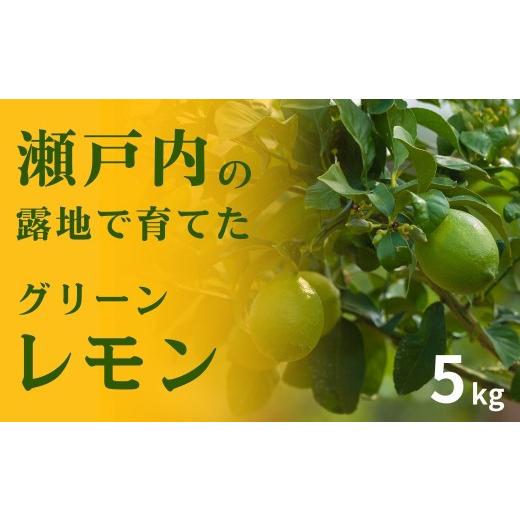 ふるさと納税 みかん・柑橘類 レモン 広島県 大崎上島町 先行予約 瀬戸内の露地 グリーンレモン 選べる 5kg 2026年10月末〜11月下旬発送 皮まで丸ごと食べら…