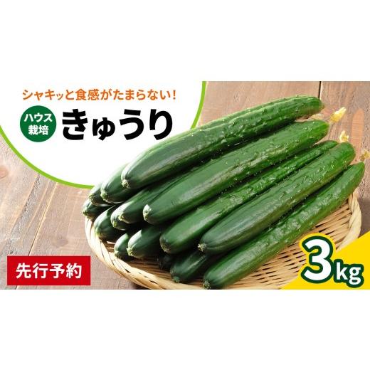 ふるさと納税 野菜類 広島県 大崎上島町 シャキッと美味しい 瀬戸内産 きゅうり 約3kg 2026年9月以降発送 越田農園 離島 国産 野菜 旬の野菜 夏野菜 秋野菜 生…