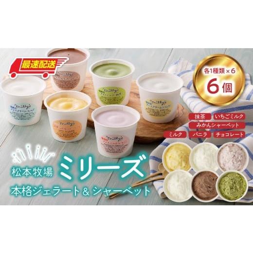 ふるさと納税 アイス・ヨーグルト ジェラート 佐賀県 玄海町 松本牧場ミリーズ 本格ジェラート(6個)全6種類 生乳 アイス カップサイズ 贅沢 ジェラート デザ…