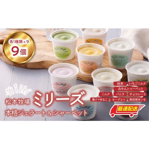 ふるさと納税 アイス・ヨーグルト ジェラート 佐賀県 玄海町 松本牧場ミリーズ 本格ジェラート(9個)全9種類 生乳 アイス カップサイズ 贅沢 ジェラート デザ…