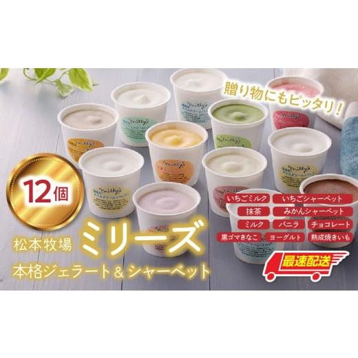 ふるさと納税 アイス・ヨーグルト ジェラート 佐賀県 玄海町 松本牧場ミリーズ 本格ジェラート(12個)全10種類 生乳 アイス カップサイズ 贅沢 ジェラート デ…
