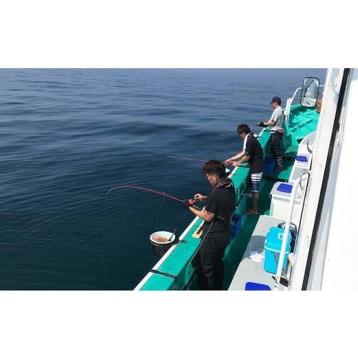 ふるさと納税 千葉県 鴨川市 【第三新生合同丸】お手軽！釣り船体験コース（平日限定２時間３名様まで）　[0070-0004]｜furusatochoice｜08