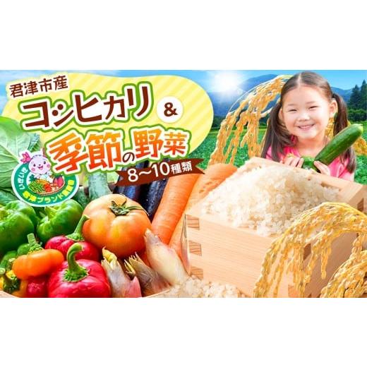 ふるさと納税 セット・詰合せ 千葉県 君津市 新米 和7年度産コシヒカリ3kg & 季節の野菜まごころBOX 人気の直売所 JAきみつ 味楽囲さだもと店 | 野菜 やさい …