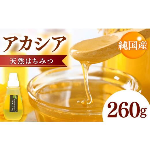 ふるさと納税 加工品等 はちみつ 千葉県 君津市 純国産 非加熱 天然 アカシア はちみつ 260g|単花蜜 アカシヤ ハチミツ 蜂蜜 無添加 純粋 健康 高級 ギフト …