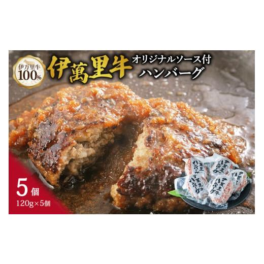 ふるさと納税 牛肉 ハンバーグ 佐賀県 伊万里市 伊万里牛ハンバーグ 120g×5個(合計600g) 卵・牛乳不使用