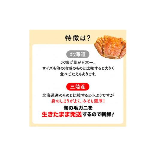 ふるさと納税 岩手県 大槌町 【令和7年発送先行予約】三陸産！活毛ガニ 400g×1杯(1尾)【2025年2月〜4月発送】｜furusatochoice｜07