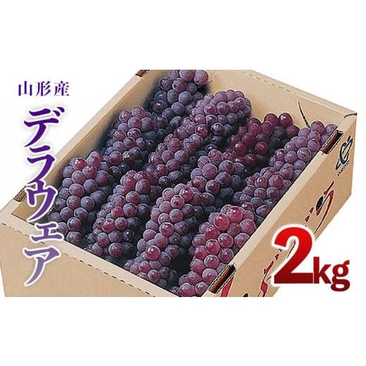 ふるさと納税 ぶどう 山形県 山形市 山形市産 デラウェア 2kg(10〜12房) 令和8年産先行予約 FS25-725 くだもの 果物 フルーツ 山形 山形県 山形市 人気 2026…