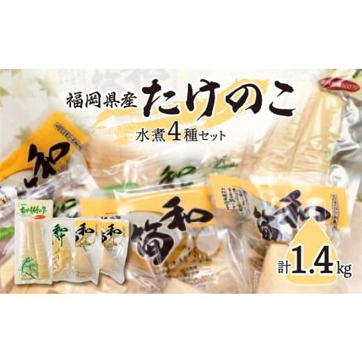 ふるさと納税 福岡県 八女市 たけのこ水煮セット|[出荷開始時期]2024年5月以降 筍 竹の子 新鮮