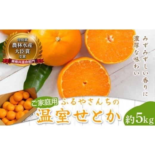 ふるさと納税 みかん・柑橘類 宮崎県 串間市 AD-AB1 期間限定・先行予約 数量限定 訳あり 農林水産大臣賞受賞農園 ふるやさんちの温室せとか(約5kg・20〜24玉…